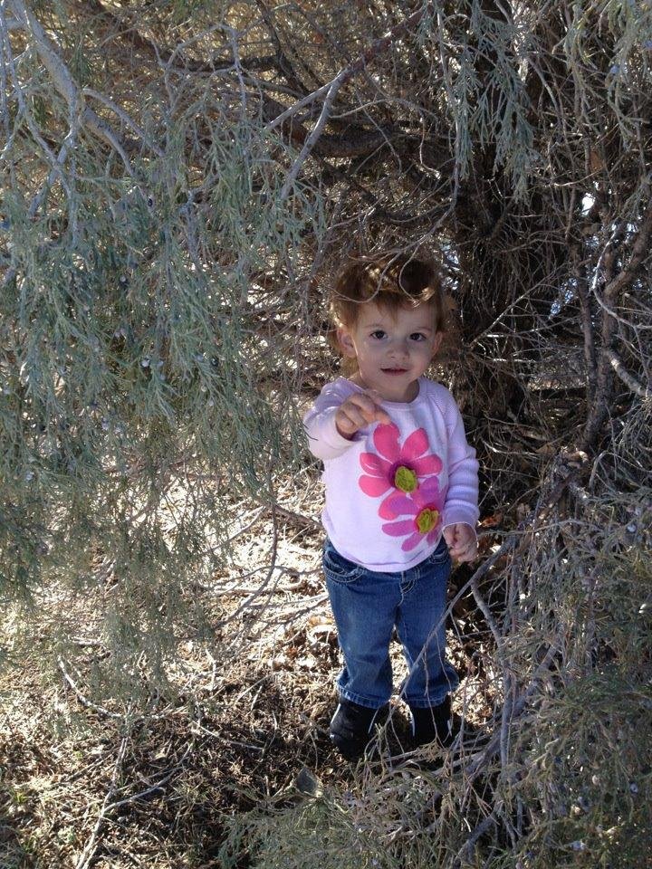 True CO child exploring the trees w/ Mimi this weekend. We found a fort!