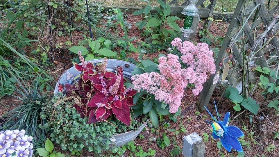 Angie Proctor's album, Timeline Photos
