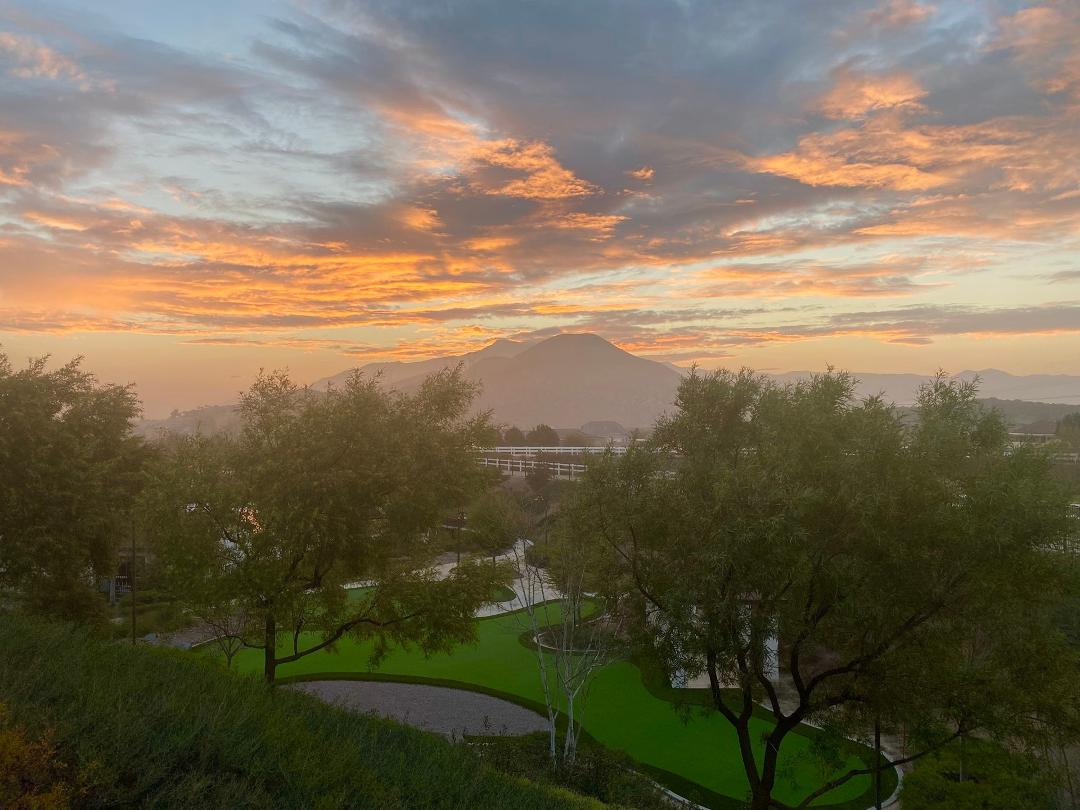 John Morgan's album, Mobile uploads