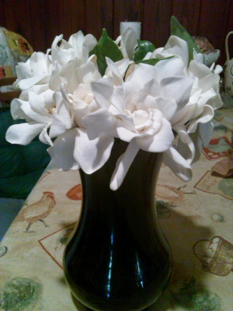 I love my Gardenias. They smell of yummy.