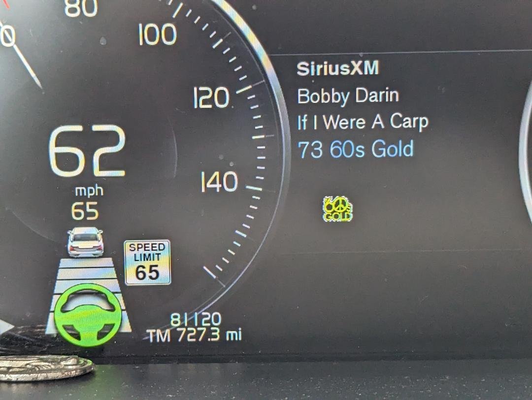 Sometimes my dashboard cracks me up.