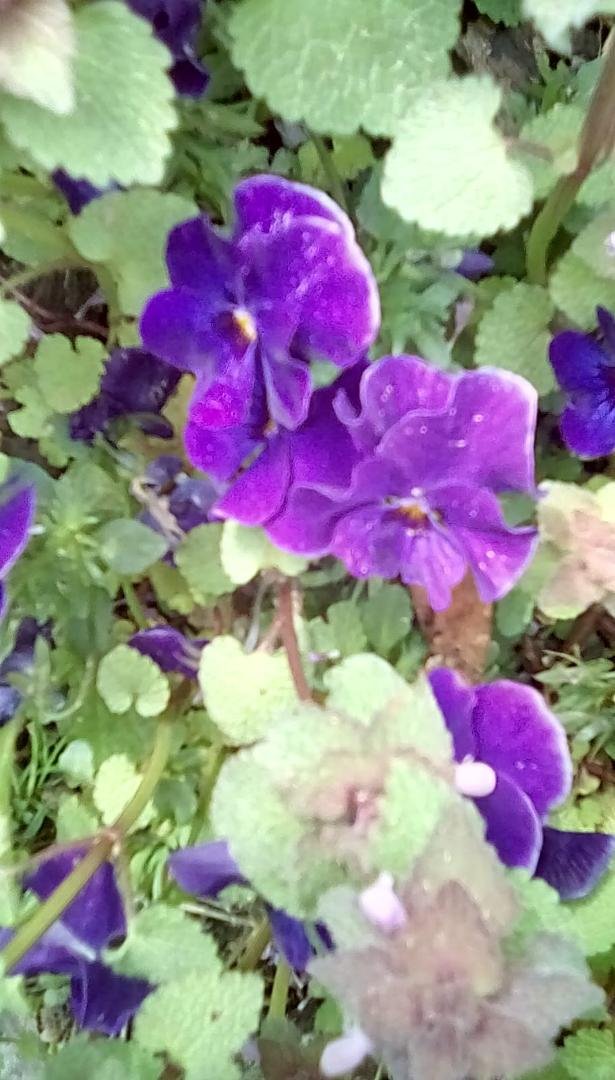 Larry McGuire's album, Timeline photos