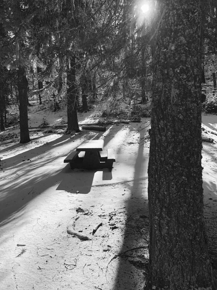 B & W Take 2 Day 6