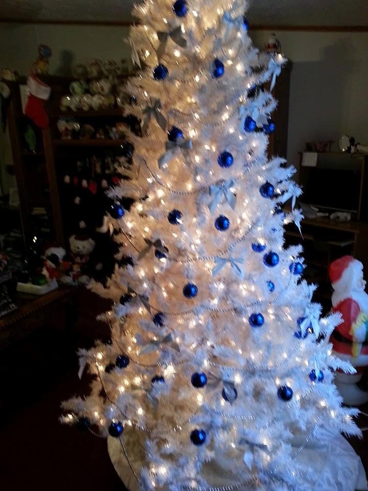ANN Serna's album, Mobile Uploads