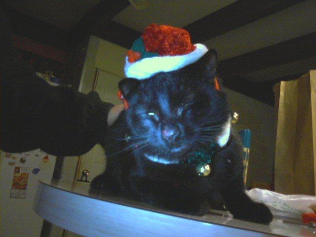 Spooky so embarrass over this