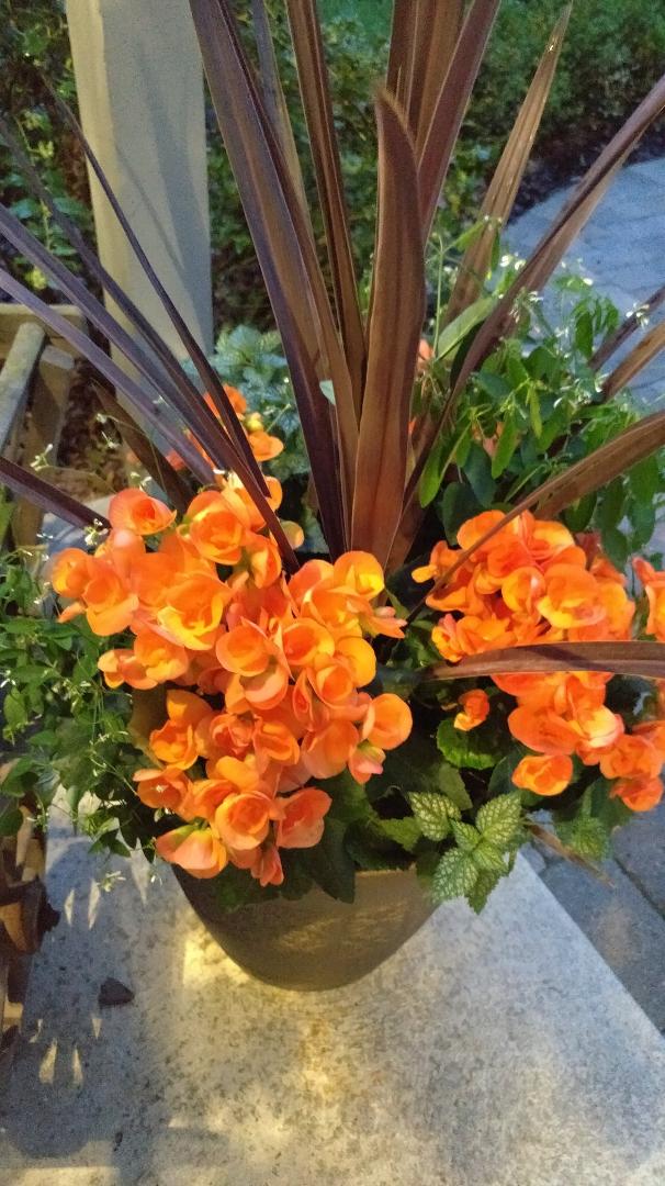 Lindalee Brownstein's album, Timeline photos