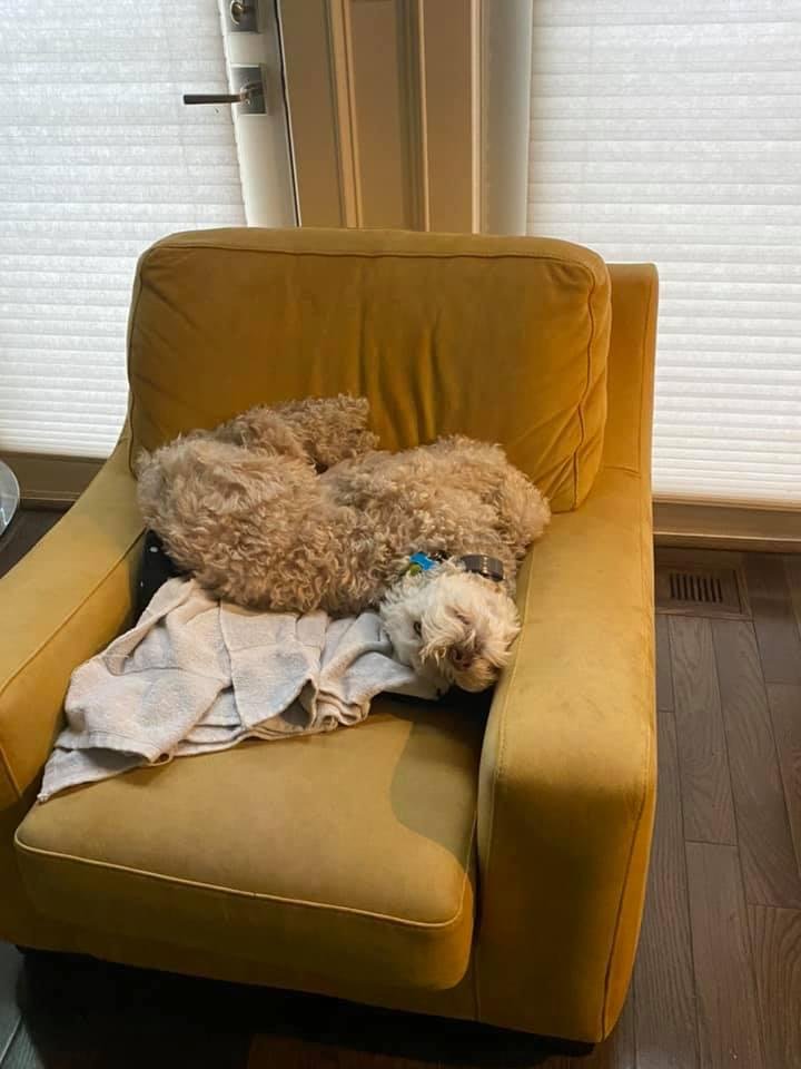 This cant be comfortable