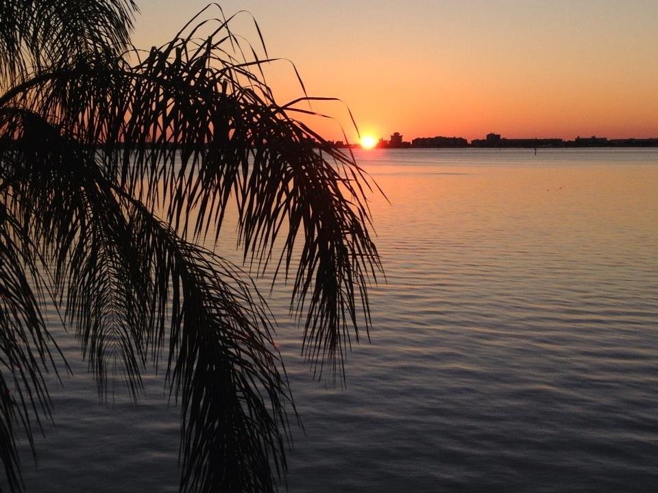 The view from Town Shores in Gulfport Fl