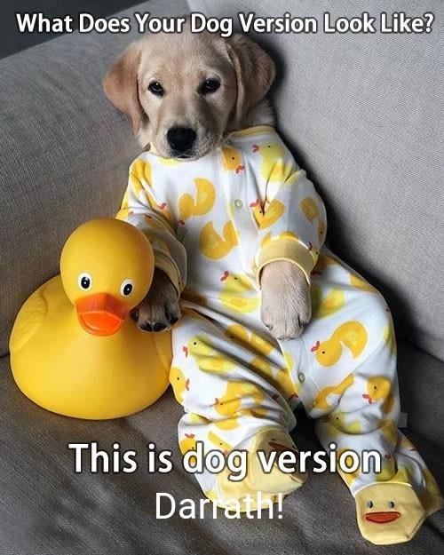 Darrath Gazdag's album, Timeline Photos