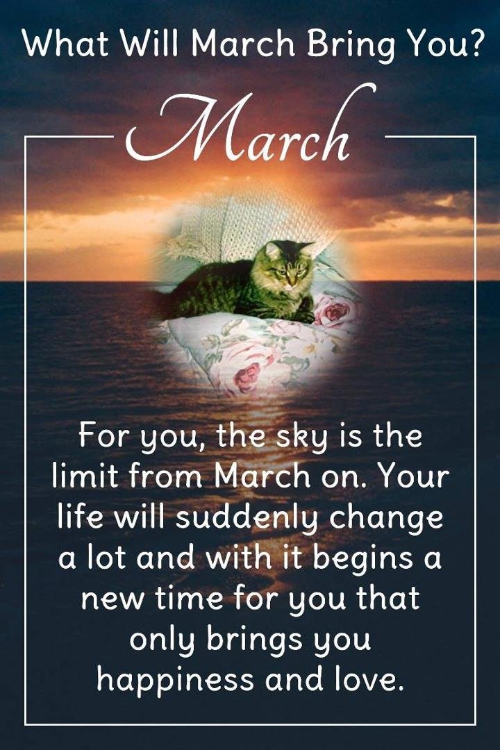 Sandra Niemeier's album, Timeline photos