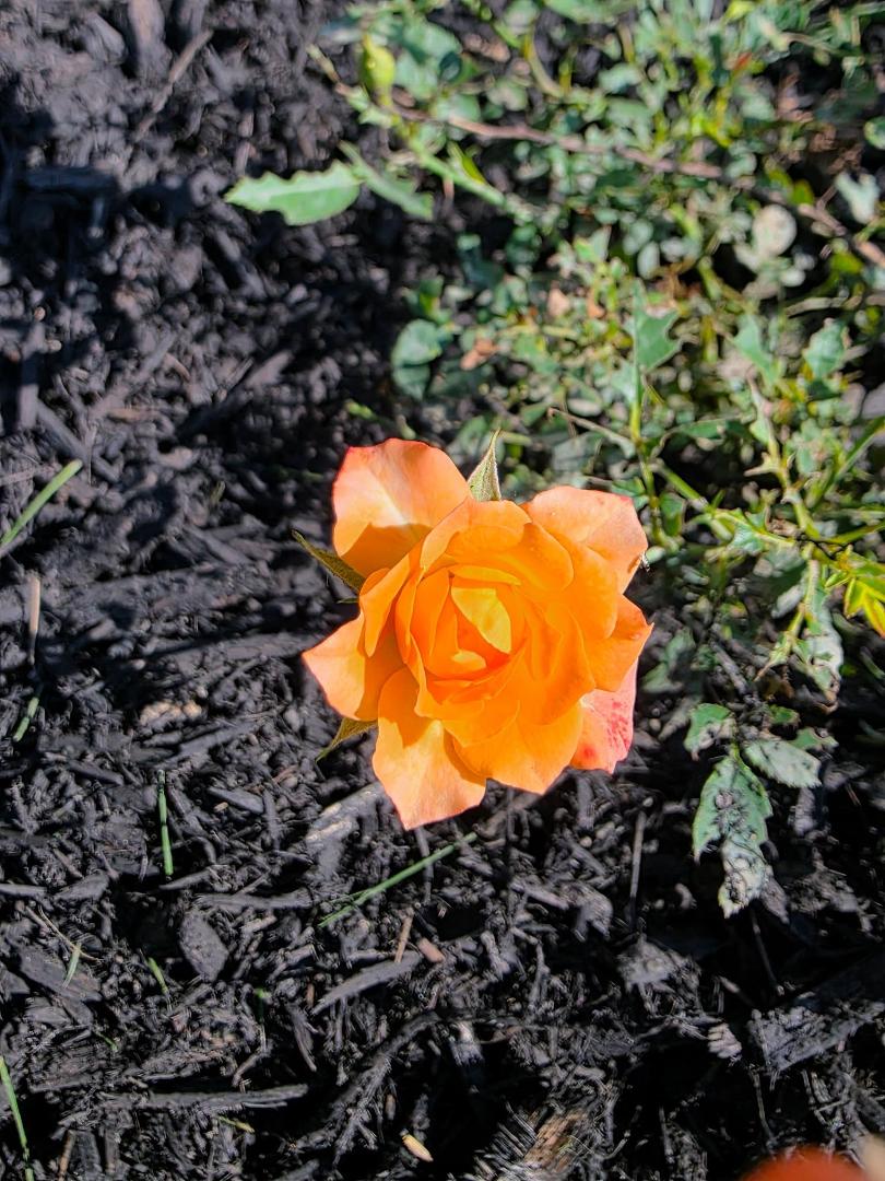 Larry Bobb's album, Timeline photos