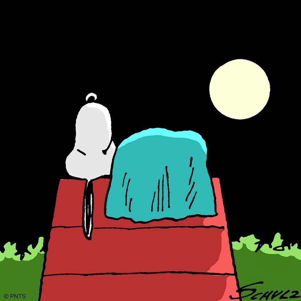 Good Night and God Bless