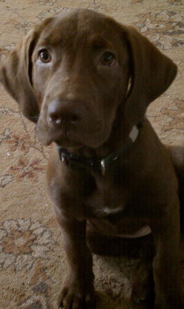 Earnest Walker
Gawd my baby girl is gettin big
Mobile Uploads
