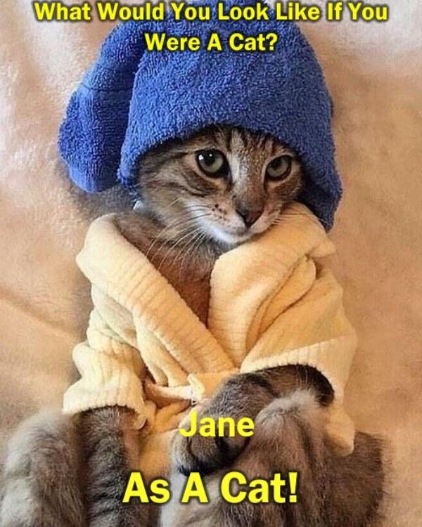 lol