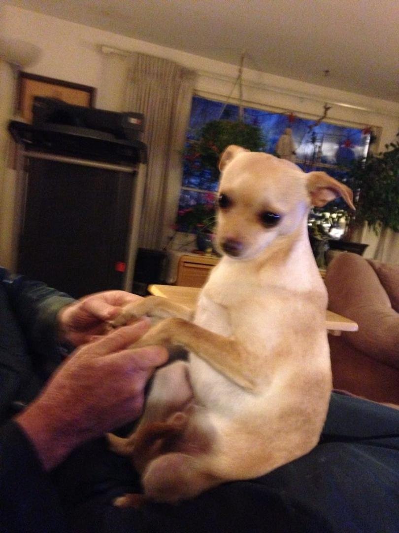 He's saying "what the hell Dad"