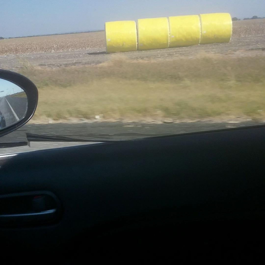 Cotton  on my way to uvalde