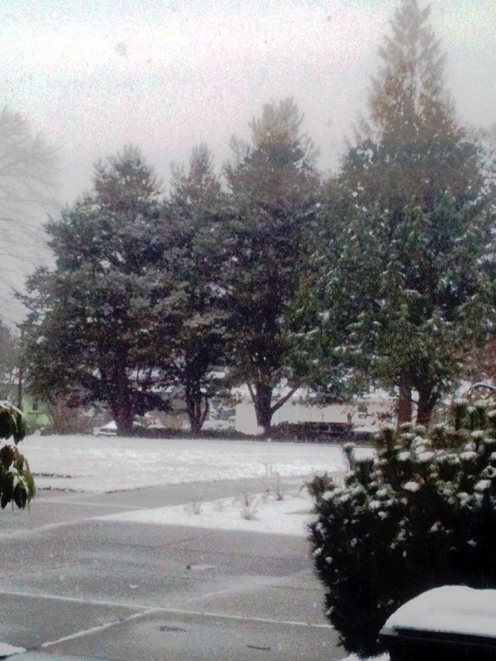 Snowing in Bellingham north of downtown