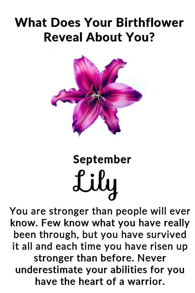 A real warrior 😳
