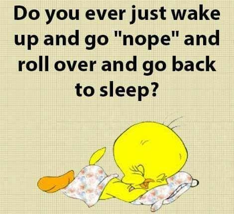 Barbara Kee Bader Bader's album, Timeline Photos