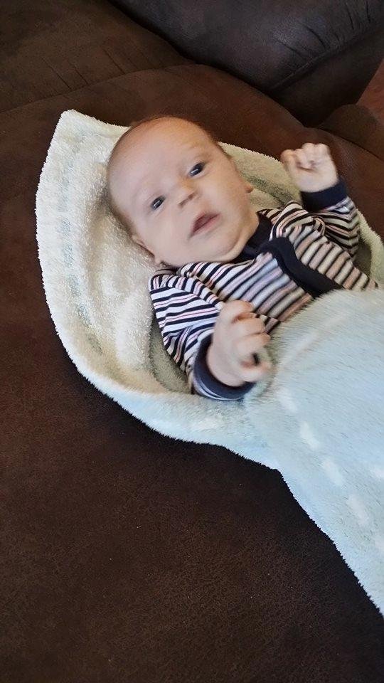 Sandra Martin's album, Mobile Uploads