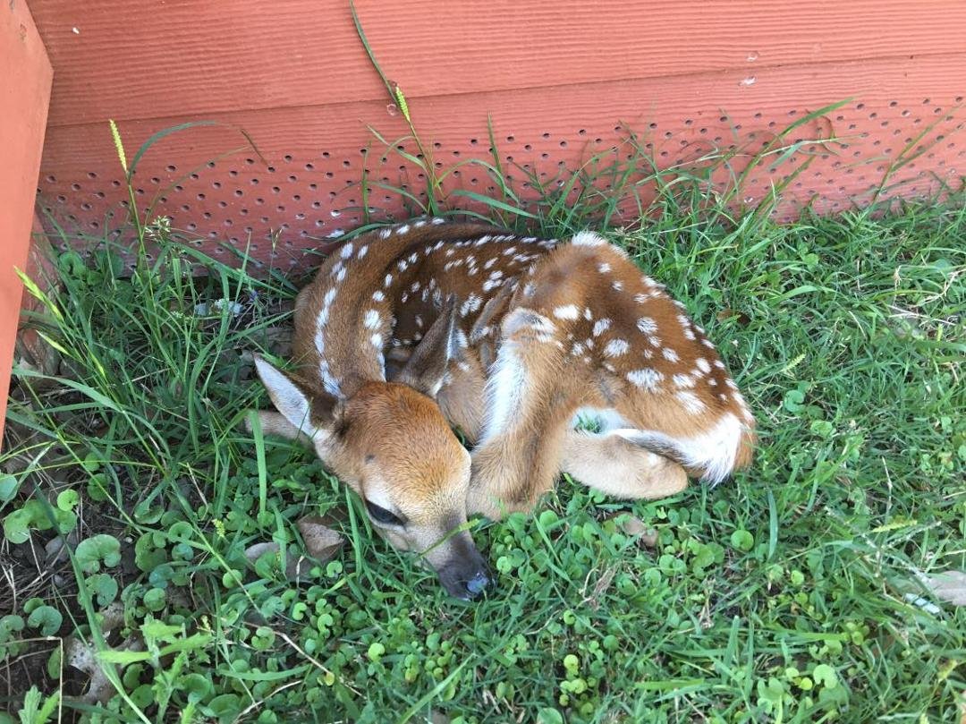 First baby of 2021