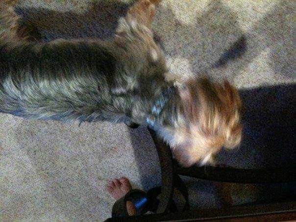 Brent Hinkle's album, iPhone Pictures