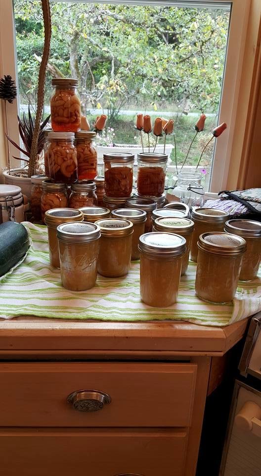 Two evenings of apples. Slices in Brown sugar for Carl's treats and applesauce.