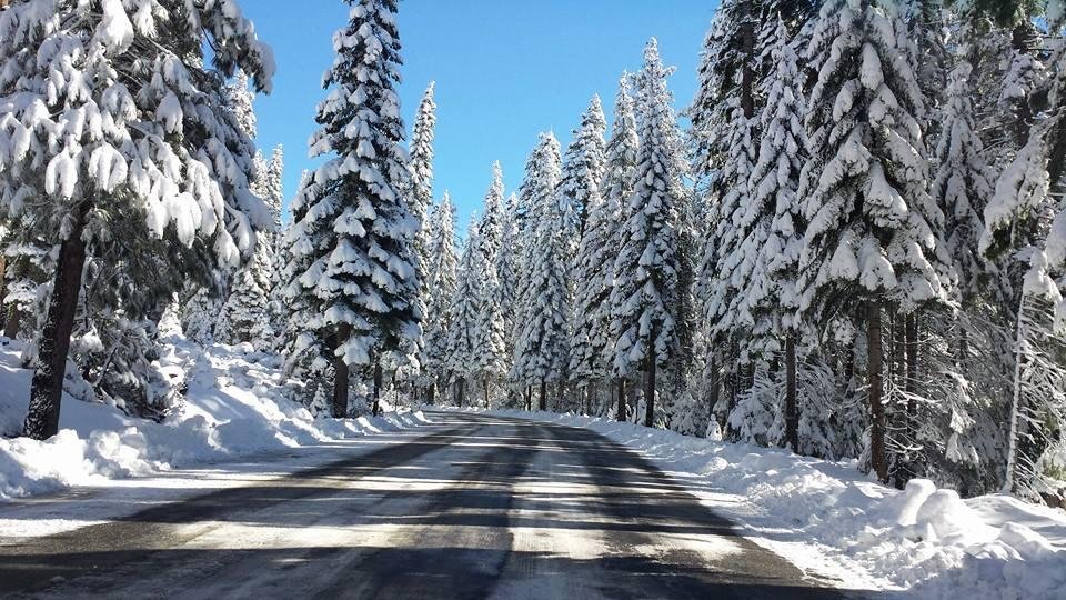 On the road to Dodge Ridge...looked like a Christmas card.