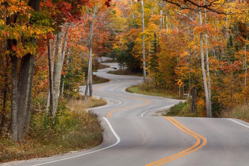 I think in a previous life I lived in Door County. It is my absolute favourite place in the world. Can't wait till Friday!