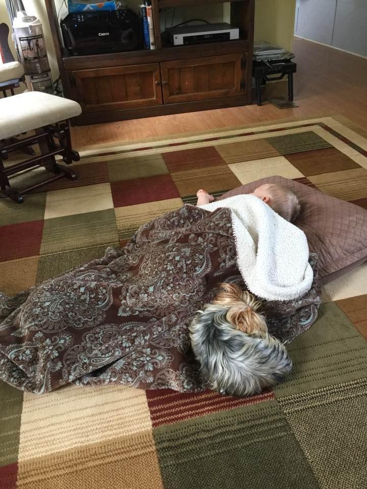 Frances Corbin's album, Timeline photos