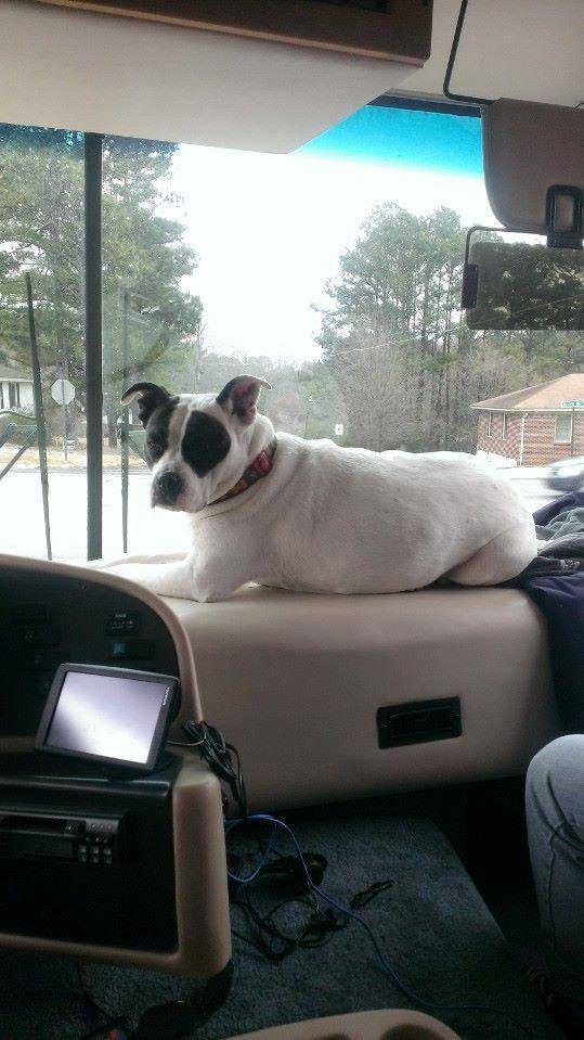 Camp security