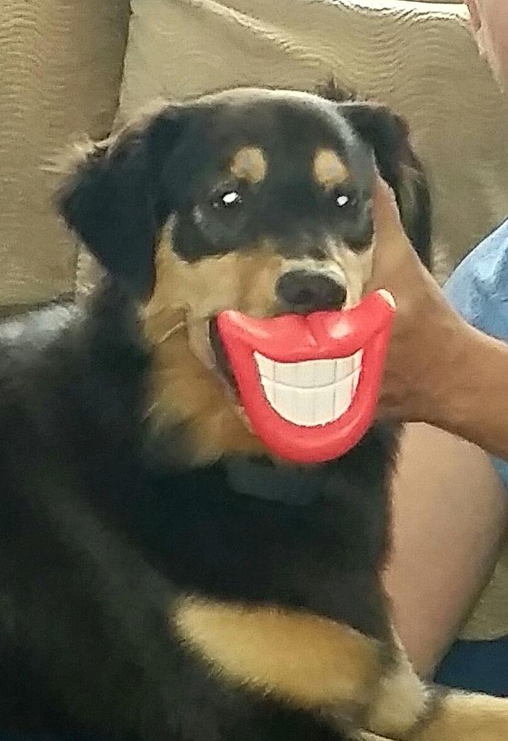 Smile  it's almost  Friday! 😀