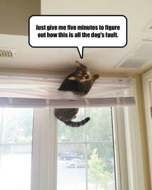 Toni Freeman's album, Timeline Photos