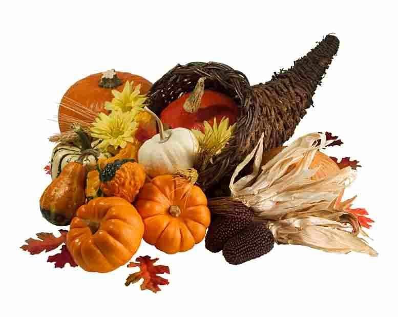Happy Thanksgiving!!!