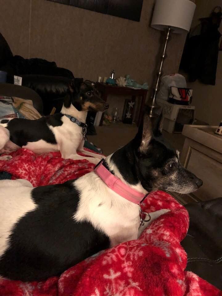 The kids
