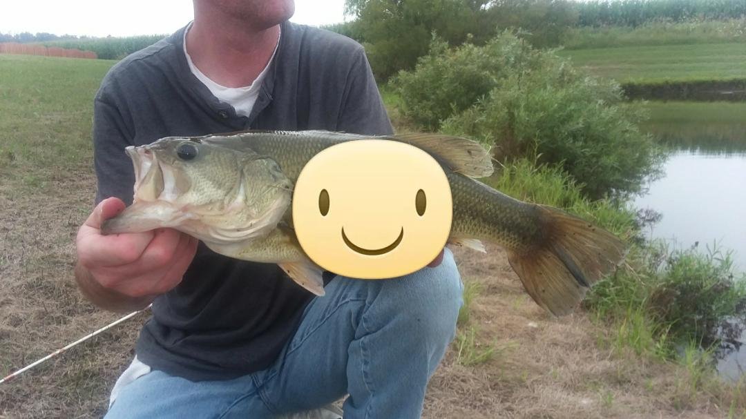 From little pond