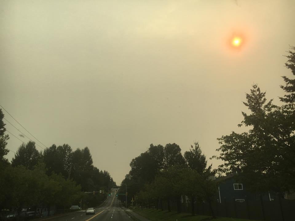 The Great Pacific Northwest "Smo-clipse"😏
Complete with ASH confetti to celebrate the occasion 🎉
(Reminds Me of Mt. St. Hellens)