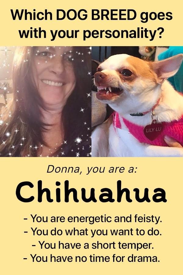 Donna Snyder's album, Timeline photos