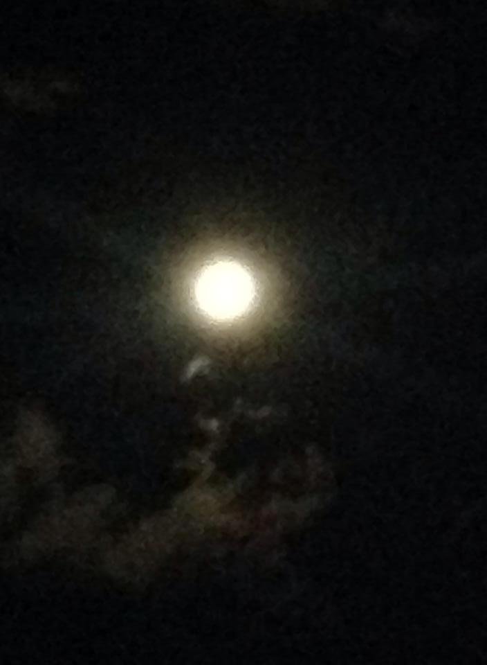 Outside my front door. A beautiful giant moon.
