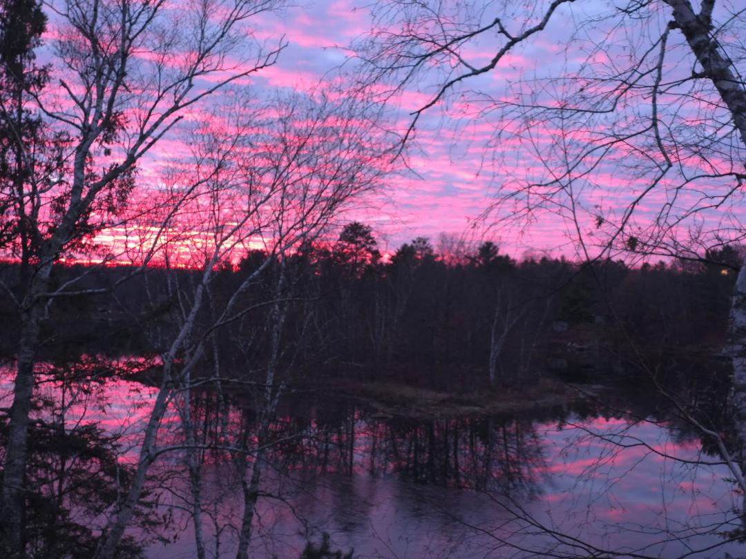 Gary Antonich's album, Mobile uploads
