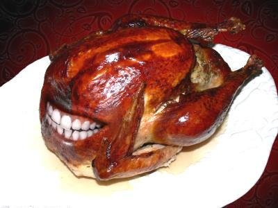Happy Thanksgiving ...
..heres hoping your bird doesn't bite back