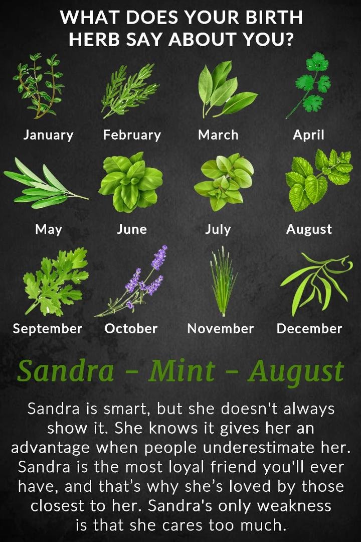 Sandra Houston's album, Timeline Photos
