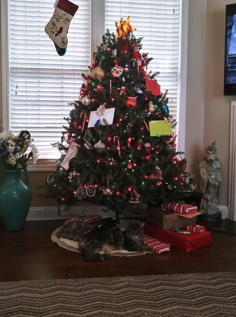 Anybody want to try wrapping "that one"?