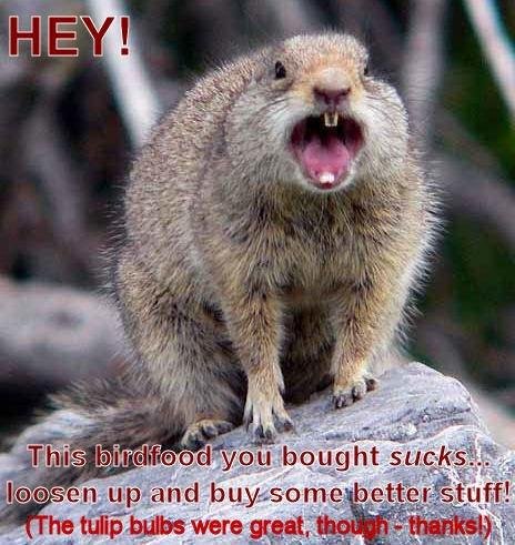 Dwight Cannon's album, Timeline Photos