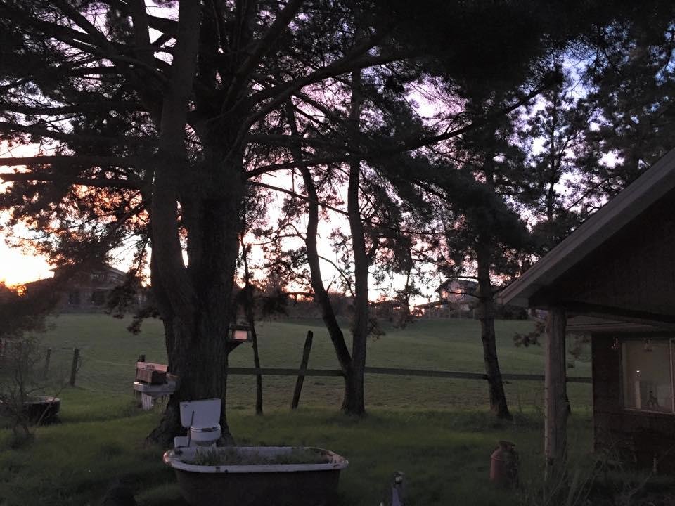 Another lovely sunset tonight.