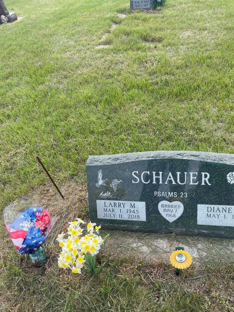 Diane Schauer's album, Mobile uploads