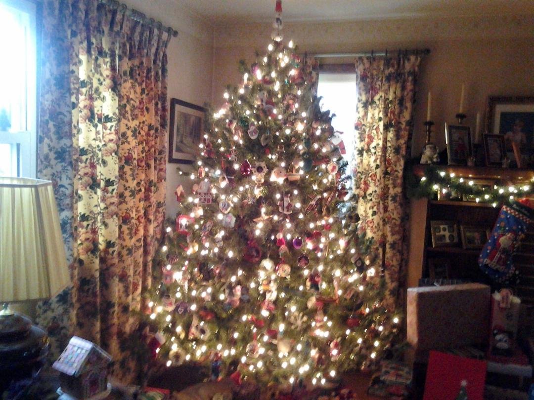 every ornament ischild made, or represents a special event in my life.........