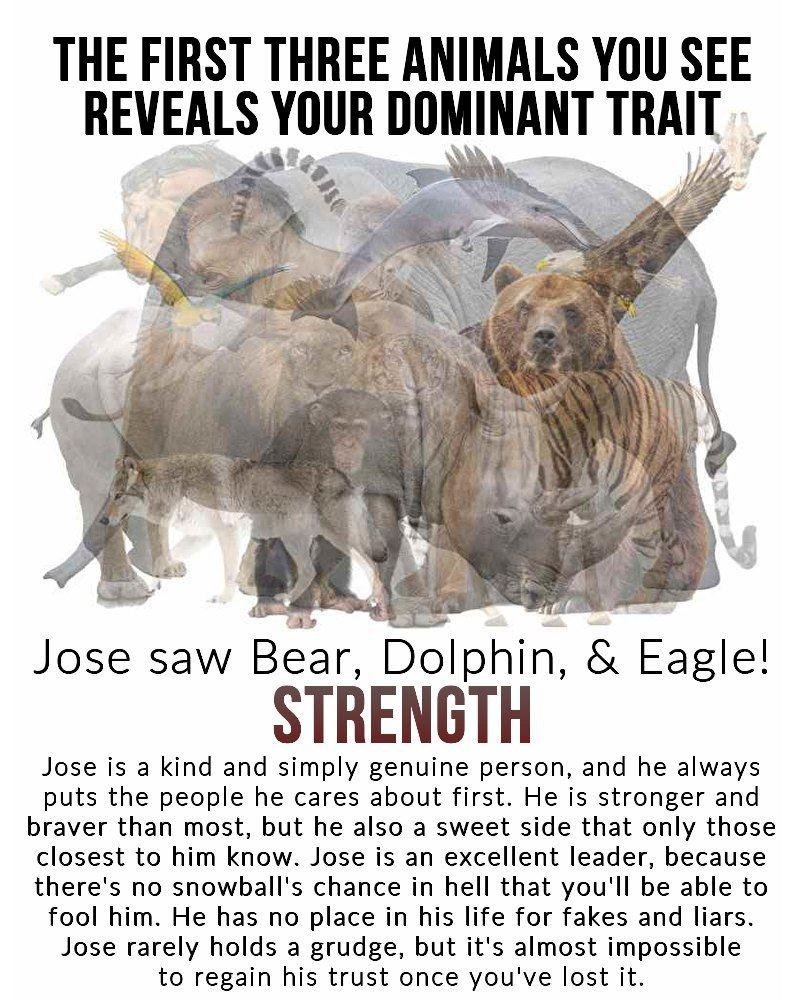 Jose Borjon's album, Mobile Uploads
