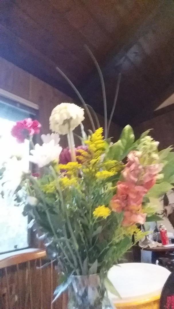 Donna Andersen's album, Timeline Photos