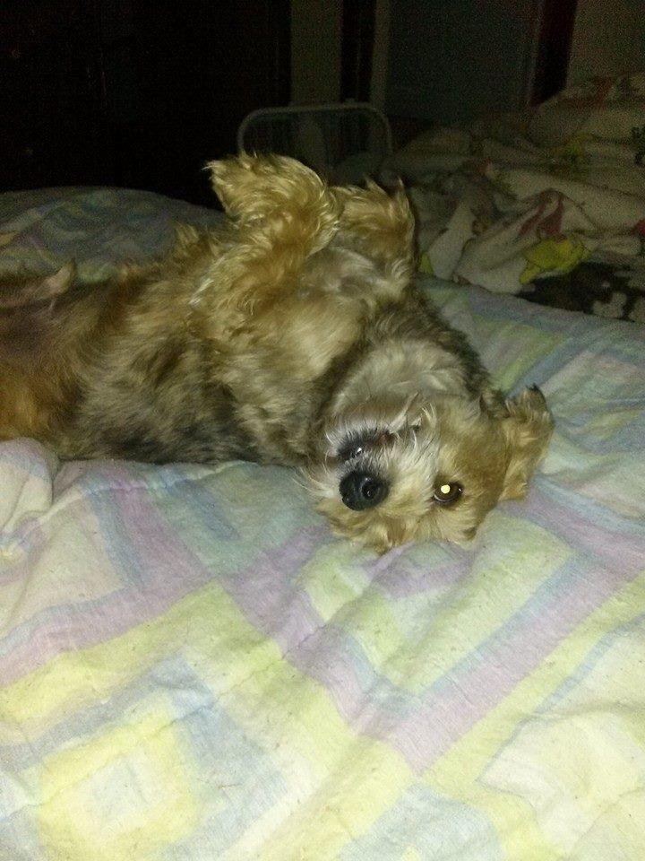 My silly baby....